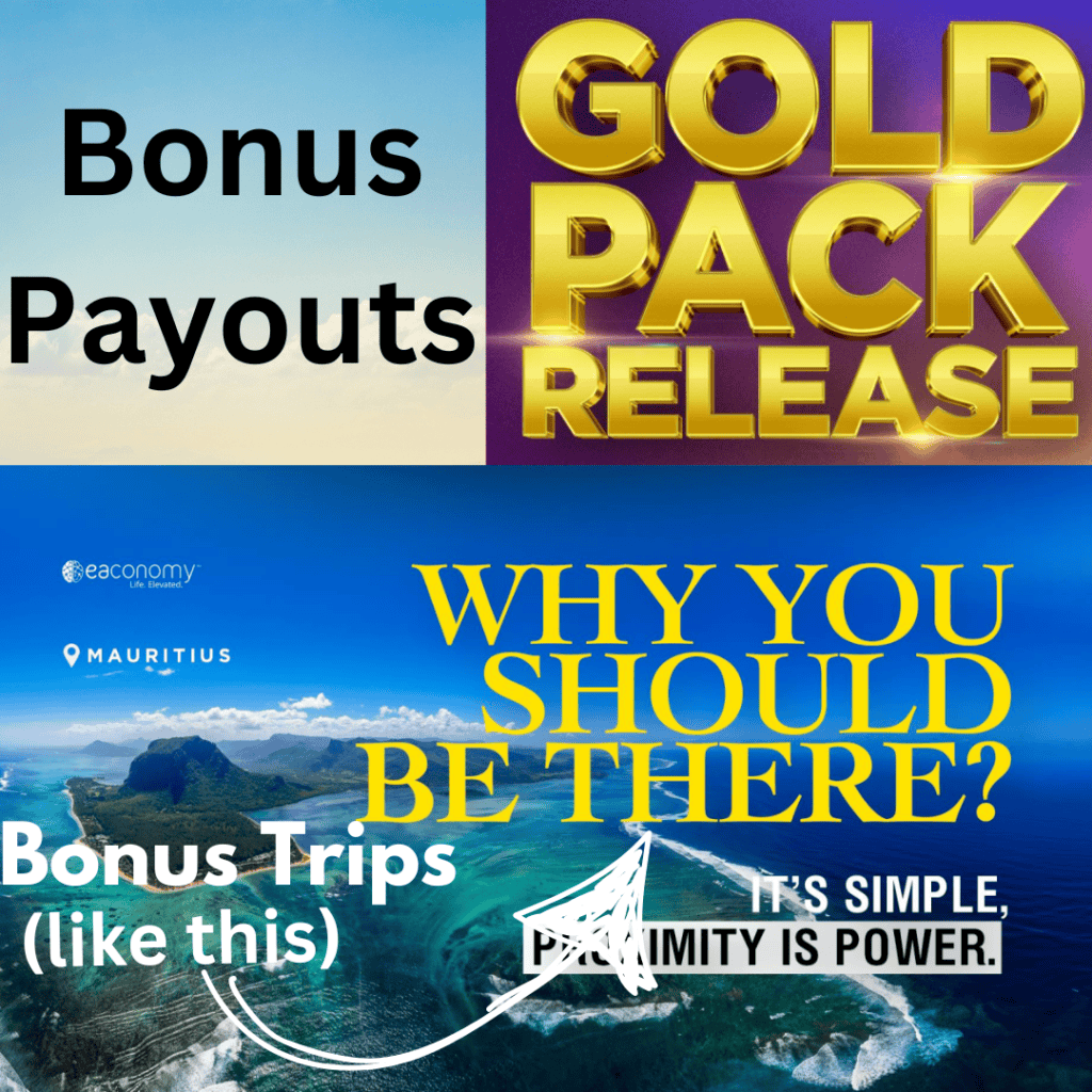 Best Affiliate Program - Gold Pack Incentive