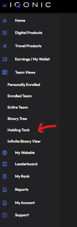 Iqonic Affiliates access the Holding Tank view Team Views